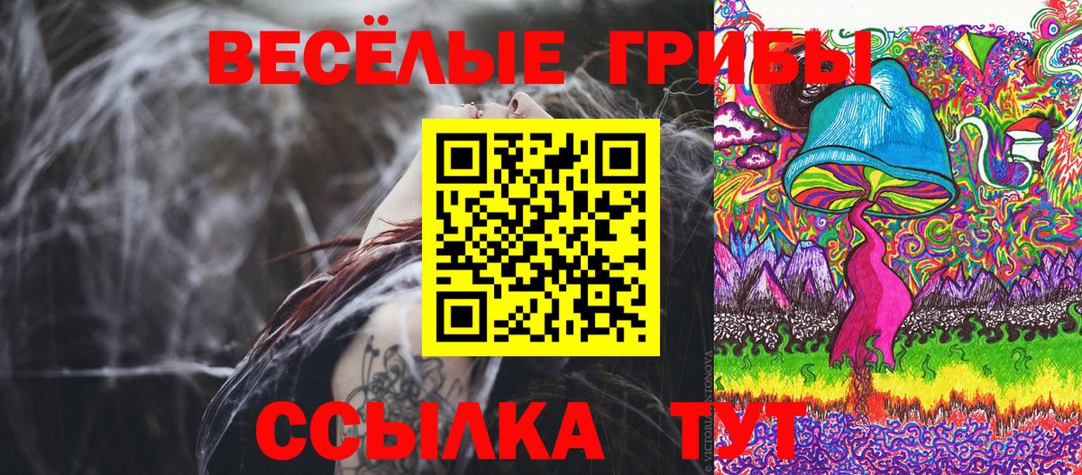 Камень-на-Оби  ГАШ  Вход с VPN  Экстази  COCAIN  MDMA  Лсд 25  Альфа ПВП СОЛЬ   Меф МЯУ МЯУ кристаллы  Где найти наркотики?  Конопля 